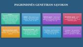 Paveldimosios informacijos perdavimas. Genetika 2 puslapis
