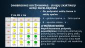 Paveldimosios informacijos perdavimas. Genetika 7 puslapis