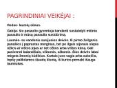 K. Zylė ,,Sukeistas“ 4 puslapis