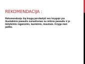 K. Zylė ,,Sukeistas“ 7 puslapis