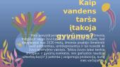 Vandens tarša, valymas ir apsaugos būdai (skaidrės) 3 puslapis