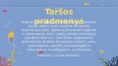 Vandens tarša, valymas ir apsaugos būdai (skaidrės) 6 puslapis