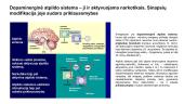 Smegenys ir psichoaktyviosios medžiagos 11 puslapis