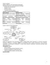 Transporto įmonių valdymas