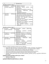 Transporto įmonių valdymas 11 puslapis