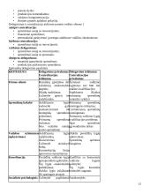 Transporto įmonių valdymas 12 puslapis