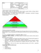 Transporto įmonių valdymas 13 puslapis