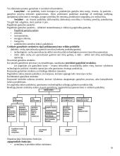 Transporto įmonių valdymas 16 puslapis