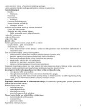 Transporto įmonių valdymas 3 puslapis