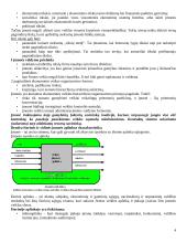 Transporto įmonių valdymas 4 puslapis