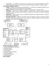 Transporto įmonių valdymas 5 puslapis