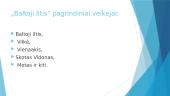 Knygos pristatymas „Baltoji Iltis“ 4 puslapis