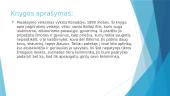 Knygos pristatymas „Baltoji Iltis“ 5 puslapis