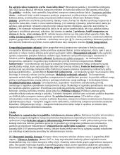 Transporto infrastruktūros teorija 2 puslapis