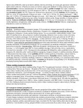 Transporto infrastruktūros teorija 9 puslapis