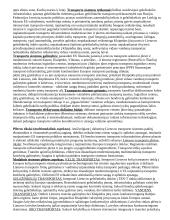 Transporto infrastruktūros teorija 10 puslapis