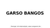 Garso bangos