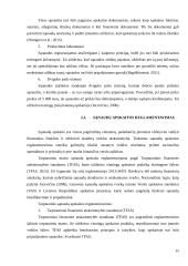 Sąnaudų apskaita ir pripažinimas 13 puslapis