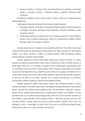 Sąnaudų apskaita ir pripažinimas 6 puslapis
