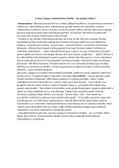  Ar jauno žmogaus maksimalizmas šiandien – jau praeities reliktas?