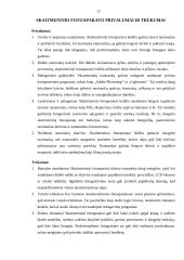 Skaitmeninis fotoaparatas 11 puslapis