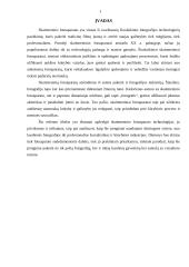 Skaitmeninis fotoaparatas 2 puslapis