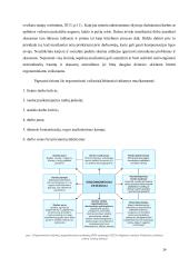 Fiziologiniai grojimo akordeonu aspektai 13 puslapis