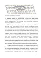 Fiziologiniai grojimo akordeonu aspektai 6 puslapis