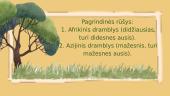 Pristatymas apie dramblius 3 puslapis