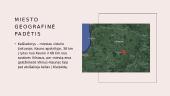 Miesto pristatymas. Kaišiadorys 2 puslapis