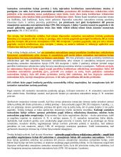 Šeimos teisės bylų apžvalga 17 puslapis