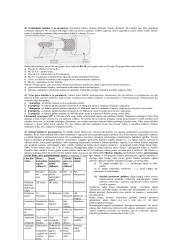 Vietiniai kompiuterių tinklai 16 puslapis