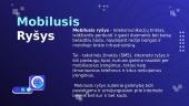 Mobilusis ryšys (pristatymas) 2 puslapis