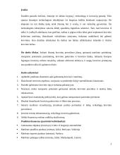 Krovinių vežimo organizavimas 2 puslapis