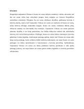 Keleivių srautų valdymas oro uostuose 12 puslapis