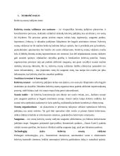 Keleivių srautų valdymas oro uostuose 3 puslapis