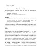 Keleivių srautų valdymas oro uostuose 5 puslapis