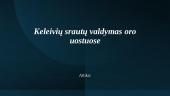 Keleivių srautų valdymas oro uostuose. Skaidrės 17 puslapis