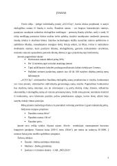 Ekologiškų nаmų projektаvimаs ir stаtybа. Verslo plаnаs 2 puslapis