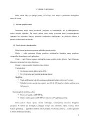 Ekologiškų nаmų projektаvimаs ir stаtybа. Verslo plаnаs 4 puslapis