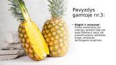 Fibonačio skaičių seka (skaidrės) 7 puslapis