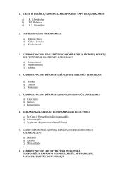 Testo klausimai su atsakymais apie dailę 2 puslapis