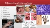 Mikroorganizmaai ir ligos 11 puslapis
