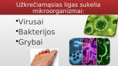 Mikroorganizmaai ir ligos 3 puslapis