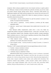 Transporto logistika „Vytauto Krištopaičio individualioje įmonėje“ 17 puslapis