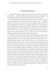 Transporto logistika „Vytauto Krištopaičio individualioje įmonėje“ 18 puslapis