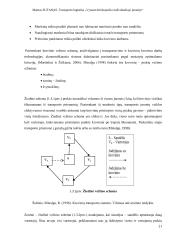 Transporto logistika „Vytauto Krištopaičio individualioje įmonėje“ 20 puslapis