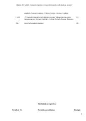 Transporto logistika „Vytauto Krištopaičio individualioje įmonėje“ 8 puslapis