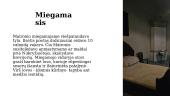 Maironio muziejus 12 puslapis