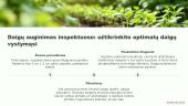Vaistinių augalų sėja ir sodinimas 6 puslapis